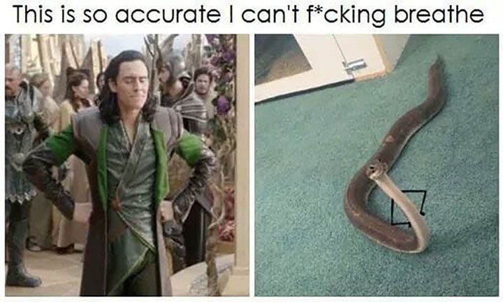 heres one i laugh at all the time