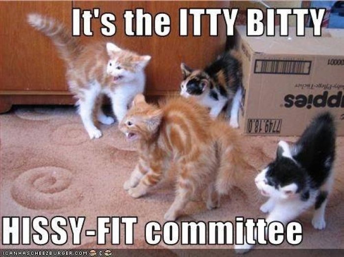 hissy fit.jpg