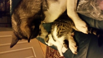 20160614_011436.jpg