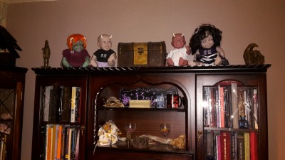 shelfie of my living room
